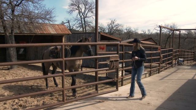 10 Things I Hate About Horsemanship - #2 смотреть онлайн