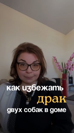 Скажите нет дракам❌#кинолог #дрессировка #собаки #щенки #приютдлясобак #животные
