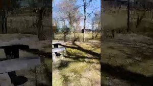 городской парк в Германии