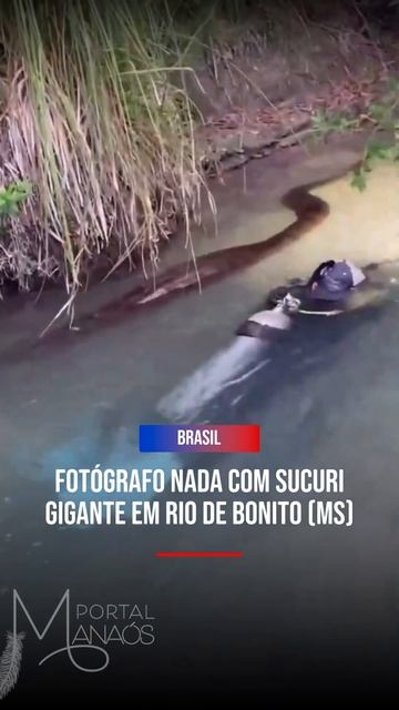 FOTÓGRAFO NADA COM SUCURI GIGANTE EM RIO DE BONITO MS