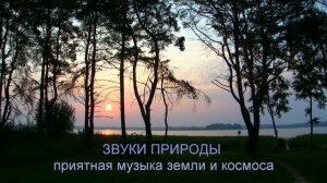 5 главных упражнений для развития эмпатии у детей 3 - 5 лет