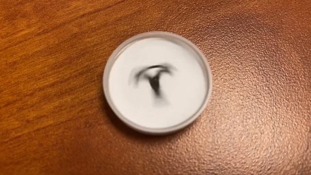 ASMR - Spinning TESLA Logo on a bottle cap Great Spinner