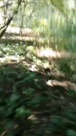 В050 Дум бум 50 25гр