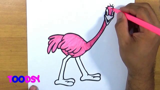 How to Color A Cartoon Drawing Of Australia Emu On Australia Day Coloring Page смотреть онлайн