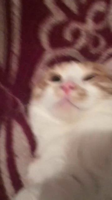 не мешай мне спать! смотреть онлайн