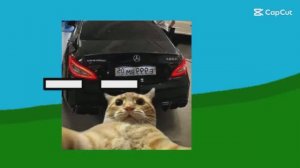 11 серия 3 сезон|Дни (не полная)