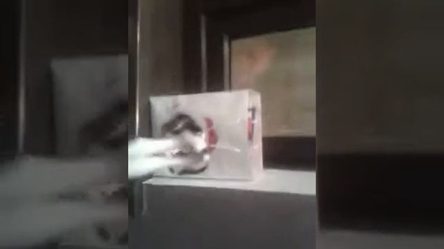 моя лоджия смотреть онлайн