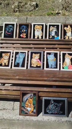 Железноводск где вы ещё столько кошек увидите?