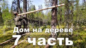 7 часть_Строительство дома на дереве