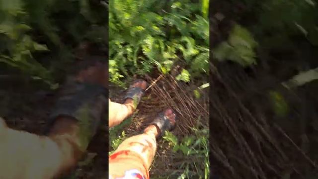 Ловлю ящериц смотреть онлайн