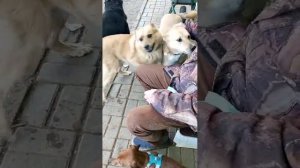 обнимашки