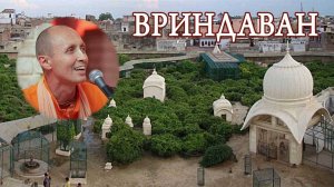 Лекция около храма Радха Рамана. Возле дерева, на котором появилось Божество