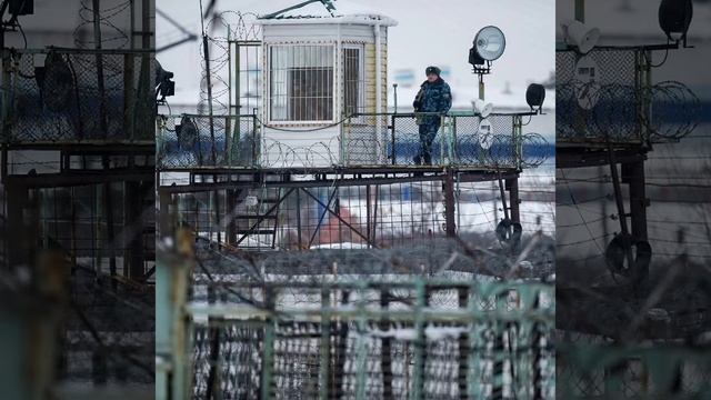 Виктор  Петлюра и Анна Воробей *Голуби * смотреть онлайн