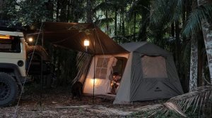 Релакс видео. Отдых в джунглях  [ Кемпинг, Австралия, ASMR ]