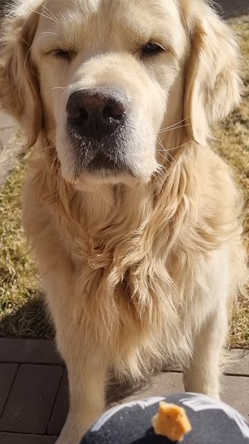 СЭМ И ПЕЧЕНЬКА смотреть онлайн