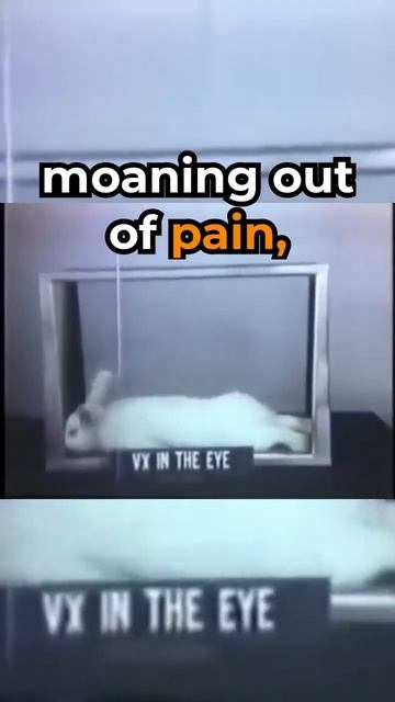 The Dark Side of Cosmetics: The Draize Experiment! смотреть онлайн