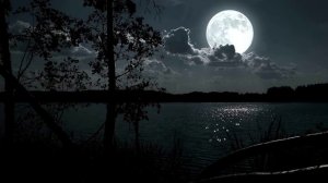 Расслабляющий звук ветра в ночном лесу при лунном свете. Звуки ночного леса у озера