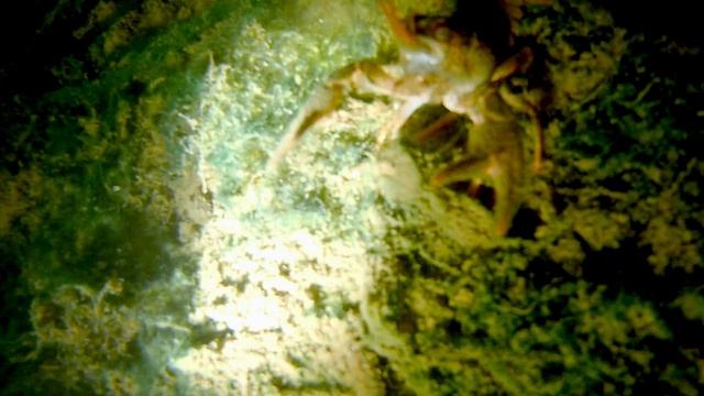 По ту сторону воды 2