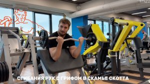 Сгибание рук в скамье скотта