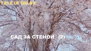 Tale of Solar – Сад за стеной (off.), 2 версия