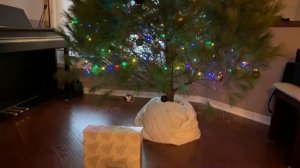 Рубим Елку на Новый год в Канаде и гуляем по магазину новогодних игрушек