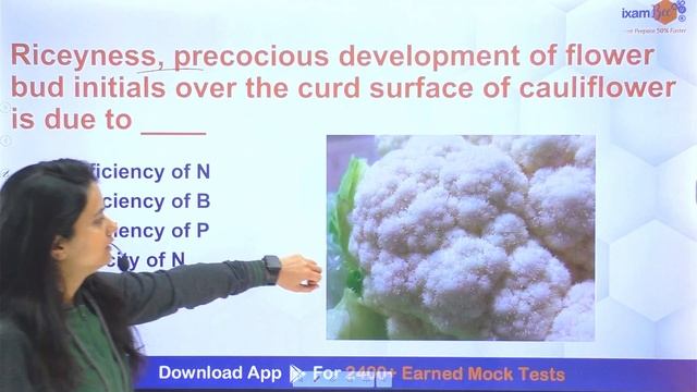 DSSSB SO Horticulture 2024 | CUET PG 2024 | Top 200 Questions | Horticulture - Vegetable Crops