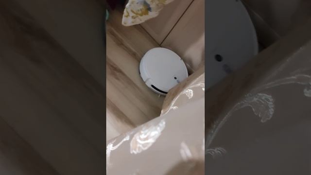 робот пылесос в реальных условиях
