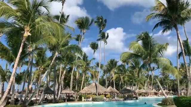 Melia Caribe Resort Tropical Promo смотреть онлайн