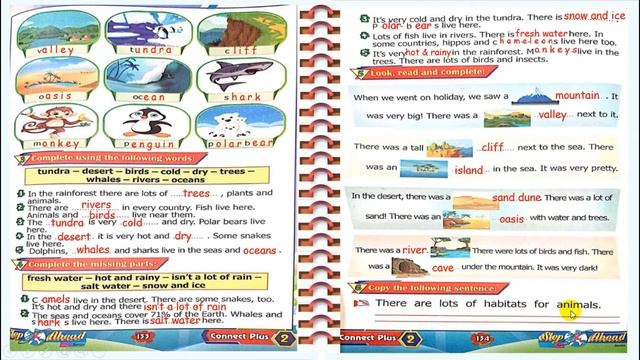 الجزء الأخير من المراجعة Unit 5 تانية إبتدائي كونكت بلس смотреть онлайн