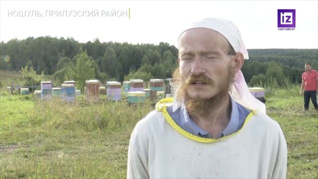iZ ЖИЗНИ - ЛУЧШИЙ ПЧЕЛОВОД смотреть онлайн