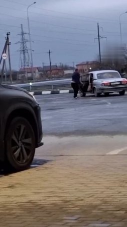 😆Красота! Красота! Мы везем с собой... трёх коров!
