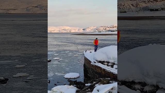 Полярное сияние Мурманск и Териберка
