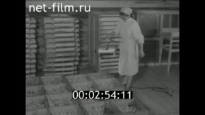 Колхоз Нефедовский Нефедово Вологодский район