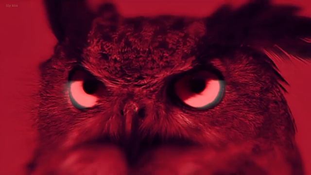 kim lip | devil au | loona смотреть онлайн