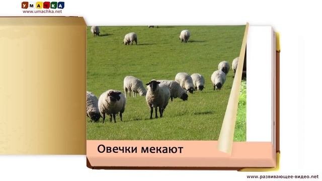 Как говорят животные звуки животных   развивающее видео для детей 1