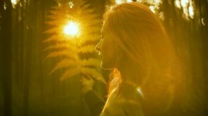 Достойный Собеседник.  Выработать в себе привычку уделять общению с самим собой, со своей Душой