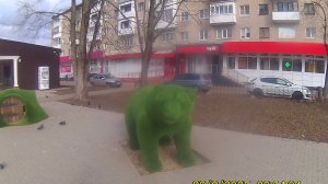 площадка я верхнеднепровский два медведя