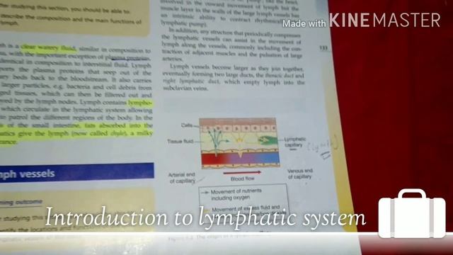 #lymphatic system , #lymph, lymphatic capillaries ( 17 April 2020)#nursingstudy #nursingnotes смотреть онлайн