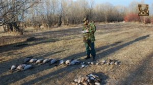 Требования к охоте с собаками охотничьих пород, штрафы за нарушения