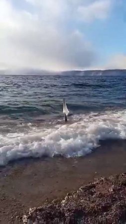 БАЙКАЛ