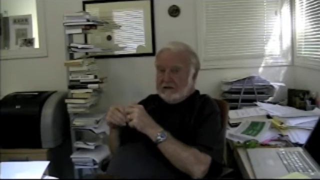 Csikszentmihalyi interview: Flow at work 2