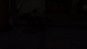 Warframe: Citrine’s Last Wish - Official Launch Trailer