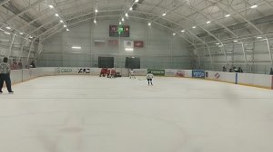 hockey coach vs red stars 17 почти голт