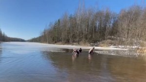 Чем заняться в выходные?
