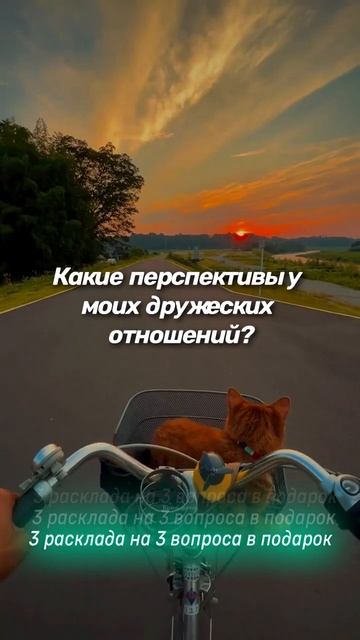 Какие перспективы у моих дружеских отношений?