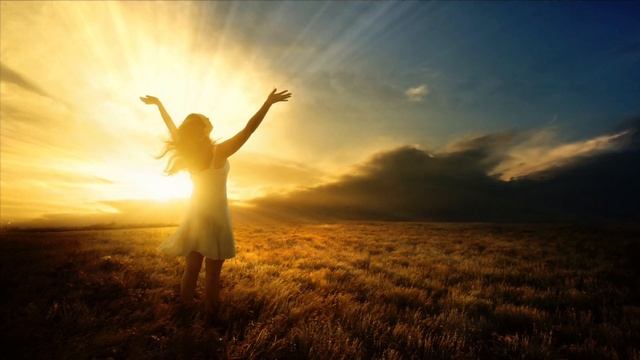 Divine Embrace смотреть онлайн