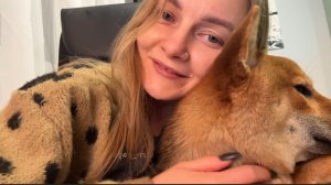 Ждем с нетерпением «ВОЗВРАЩЕНИЯ»Йошика♥️Кастрировать или Вязать?🤔Влог