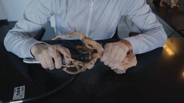 DIY Aquarium bonsai tree with moss for aquascapes (Full tutorial) смотреть онлайн