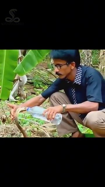 Спасибо тебе человек (Thank you man) смотреть онлайн