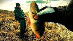 Спиннинг в марте 22.03.2025 🎣🥶
